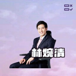 林婉清